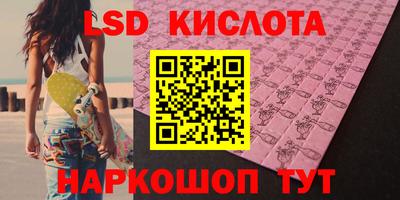 шишки Аргун