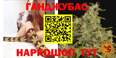 шишки Аргун