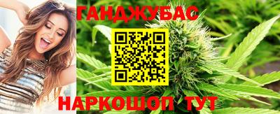 шишки Аргун