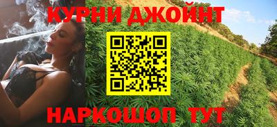 шишки Аргун