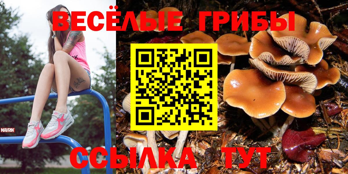 Баксан  Псилоцибиновые грибы Psilocybe  где купить наркоту  Вход с VPN 