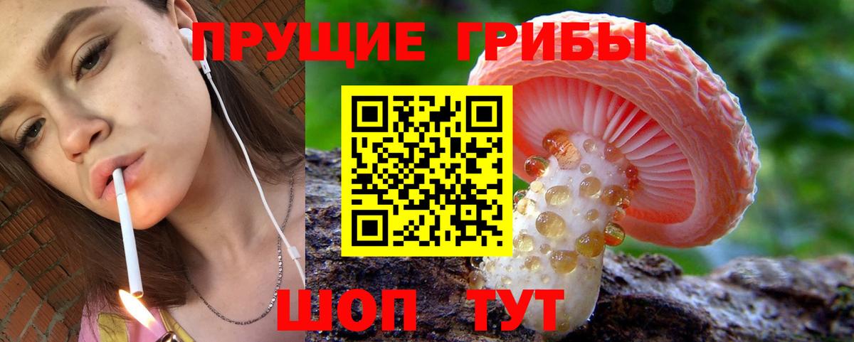 Галлюциногенные грибы мицелий Баксан